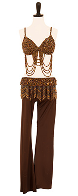 This is a photo of a costume Brooke Burke wore on Dancing with the Stars!