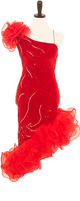 This is a photo of a costume that Kym Johnson wore on Dancing with the Stars.