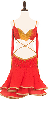 This is a photo of an original costume that Cheryl Burke wore on Dancing with the Stars!
