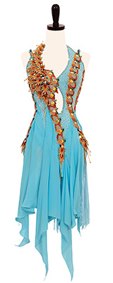 This is a photo of our Designs to Shine Rhythm Latin dress, Seahawk.