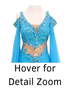 Hover over image for detailed zoom