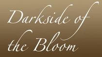 Encore Ballroom Couture