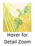 Hover over image for detailed zoom