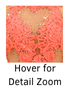 Hover over image for detailed zoom