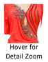 Hover over image for detailed zoom