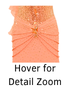 Hover over image for detailed zoom