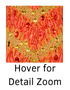 Hover over image for detailed zoom