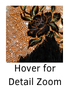 Hover over image for detailed zoom
