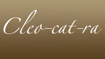 Encore Ballroom Couture